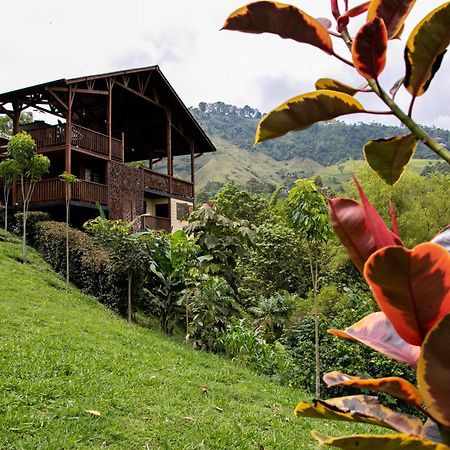 Tominejo Ecolodge - Casas En Los Arboles Нейра Экстерьер фото