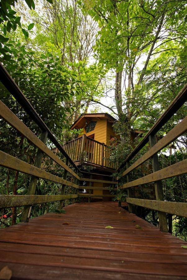 Tominejo Ecolodge - Casas En Los Arboles Нейра Экстерьер фото