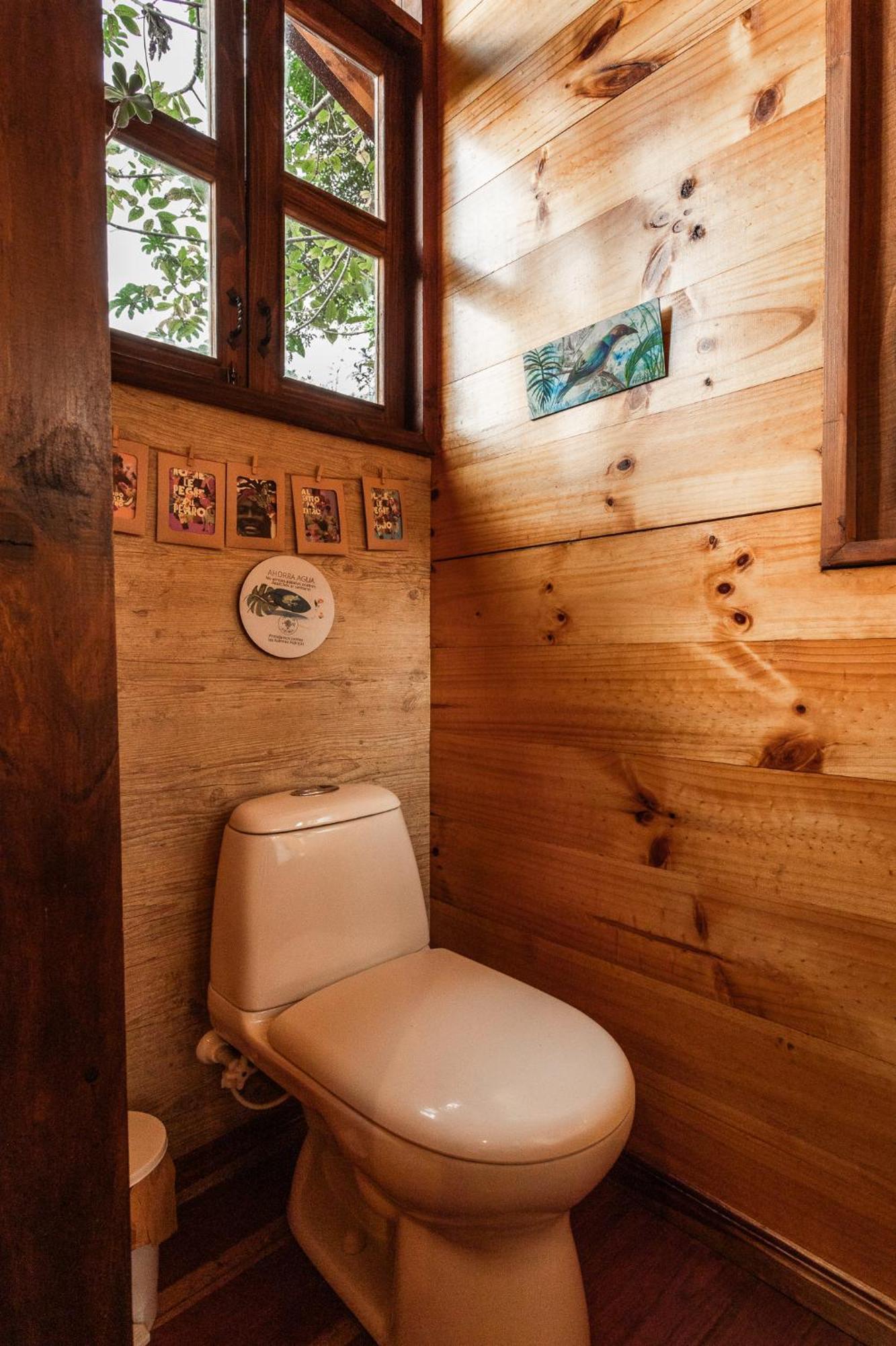 Tominejo Ecolodge - Casas En Los Arboles Нейра Экстерьер фото
