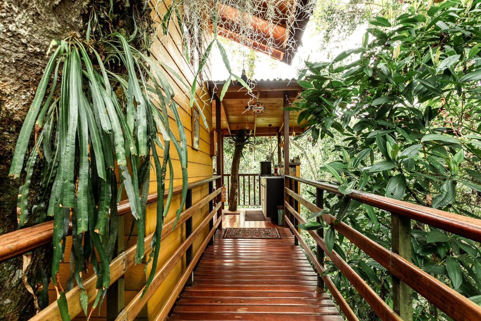 Tominejo Ecolodge - Casas En Los Arboles Нейра Экстерьер фото