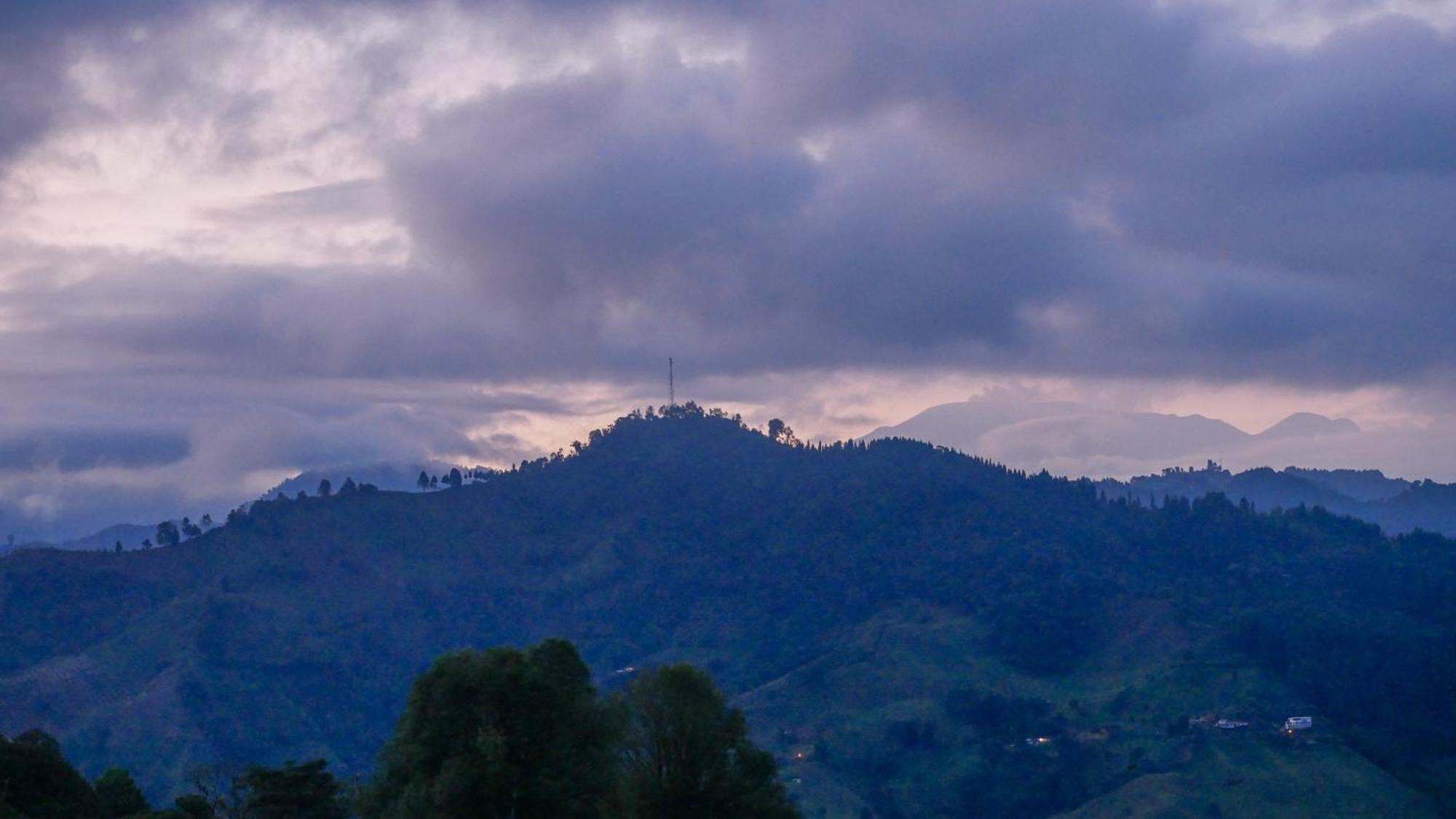 Tominejo Ecolodge - Casas En Los Arboles Нейра Экстерьер фото
