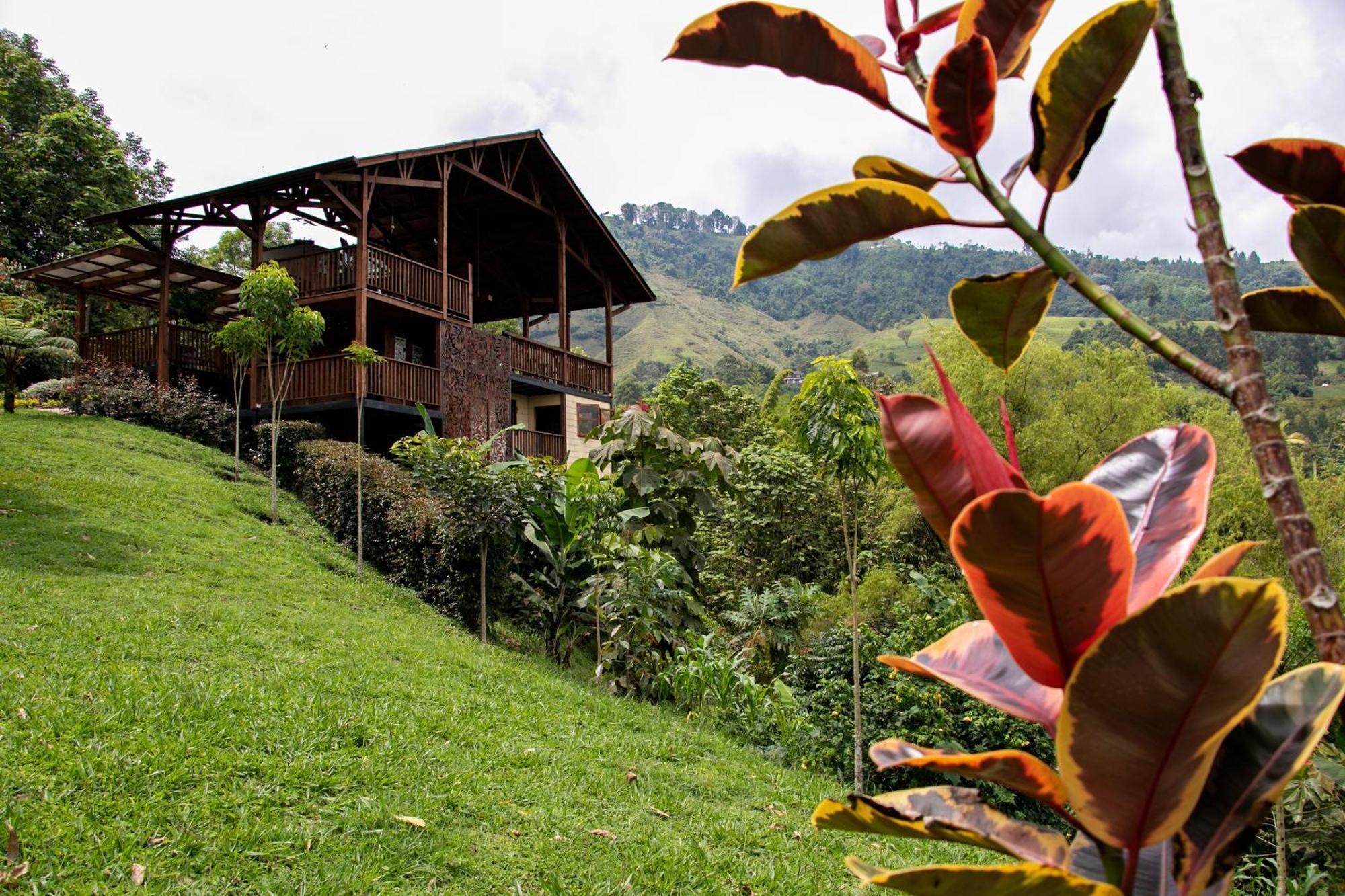 Tominejo Ecolodge - Casas En Los Arboles Нейра Экстерьер фото