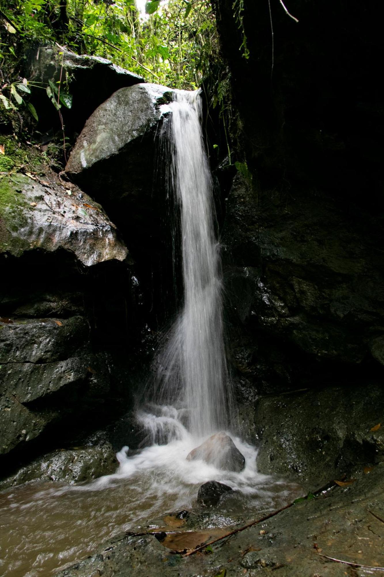 Tominejo Ecolodge - Casas En Los Arboles Нейра Экстерьер фото